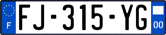 FJ-315-YG