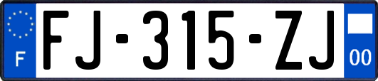 FJ-315-ZJ