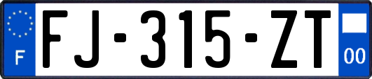 FJ-315-ZT