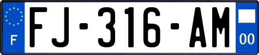 FJ-316-AM