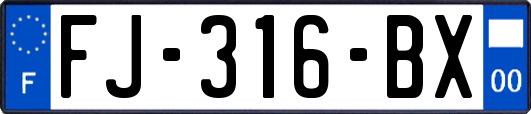 FJ-316-BX