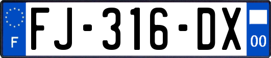 FJ-316-DX