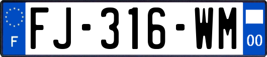 FJ-316-WM