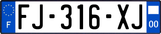 FJ-316-XJ