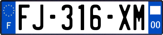 FJ-316-XM