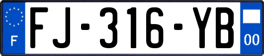 FJ-316-YB