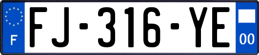 FJ-316-YE