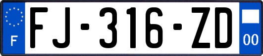 FJ-316-ZD