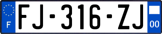 FJ-316-ZJ