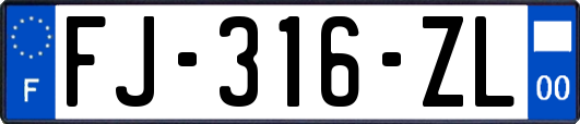FJ-316-ZL