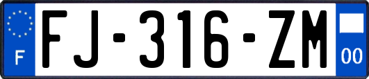 FJ-316-ZM