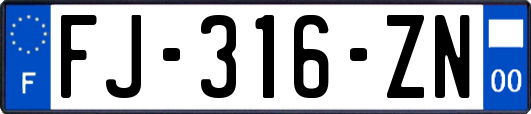 FJ-316-ZN