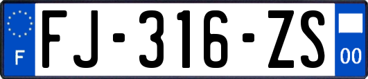 FJ-316-ZS