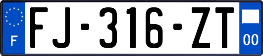 FJ-316-ZT