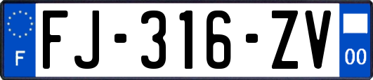 FJ-316-ZV