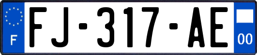 FJ-317-AE