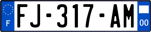 FJ-317-AM