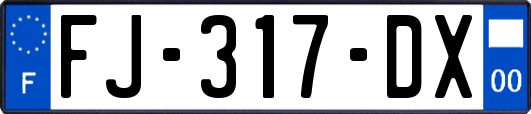 FJ-317-DX