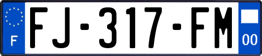 FJ-317-FM
