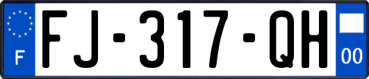 FJ-317-QH