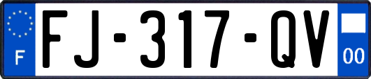 FJ-317-QV