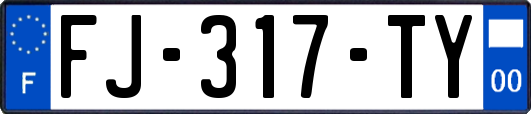 FJ-317-TY