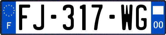 FJ-317-WG