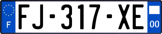 FJ-317-XE