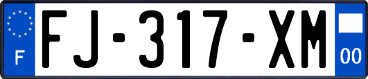 FJ-317-XM