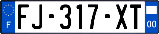 FJ-317-XT