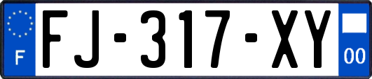 FJ-317-XY