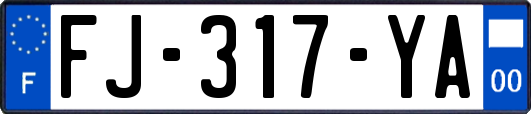 FJ-317-YA