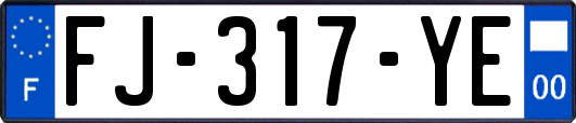 FJ-317-YE