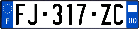 FJ-317-ZC