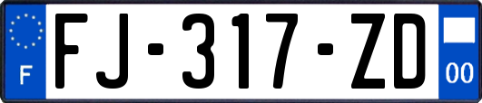 FJ-317-ZD