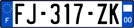 FJ-317-ZK