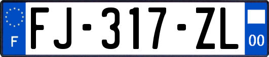 FJ-317-ZL