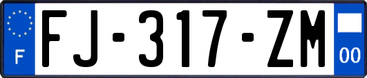 FJ-317-ZM