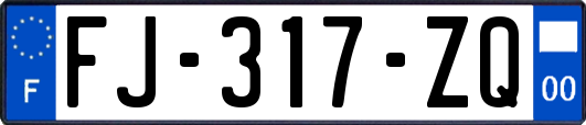 FJ-317-ZQ