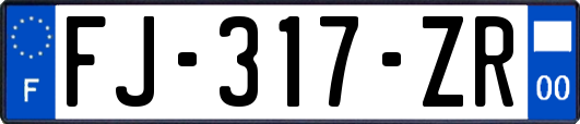 FJ-317-ZR