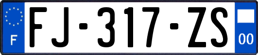 FJ-317-ZS