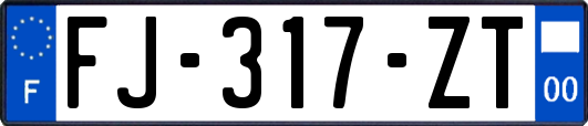 FJ-317-ZT