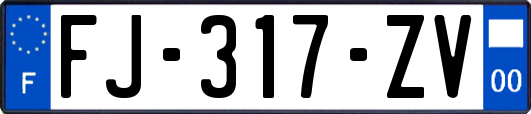 FJ-317-ZV