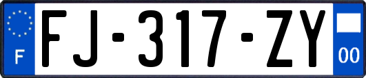 FJ-317-ZY