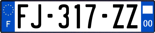 FJ-317-ZZ