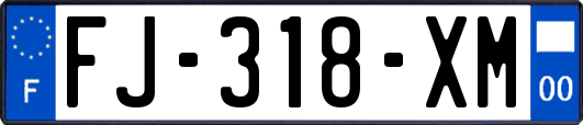 FJ-318-XM