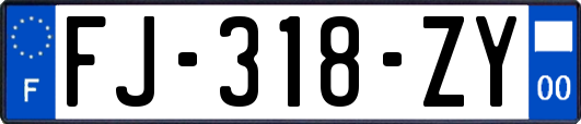 FJ-318-ZY