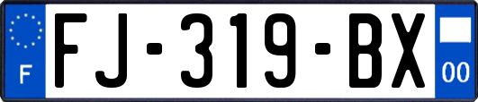 FJ-319-BX