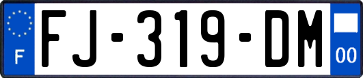 FJ-319-DM