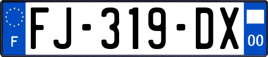 FJ-319-DX